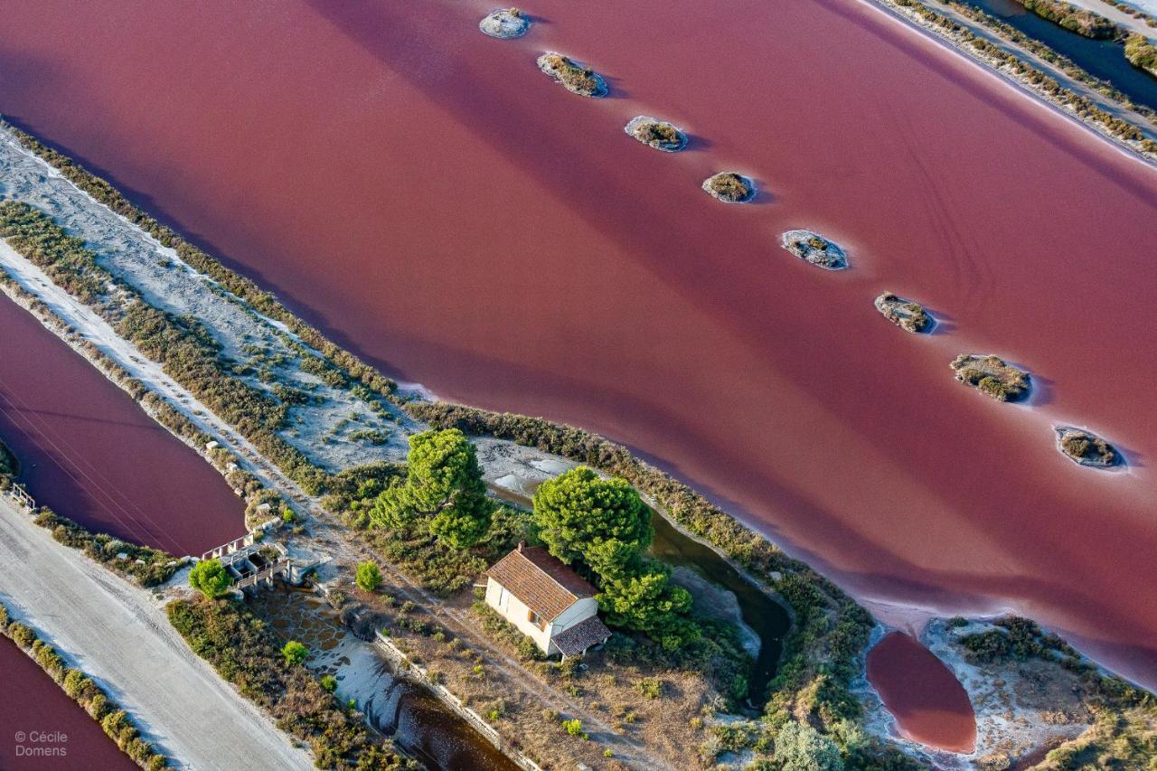 Vila Mas De Colomina Aigues-Mortes Exteriér fotografie